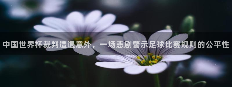 世界杯比赛直播:中国世界杯裁判遭遇意外,一场悲剧警示足球比赛规则的公平性