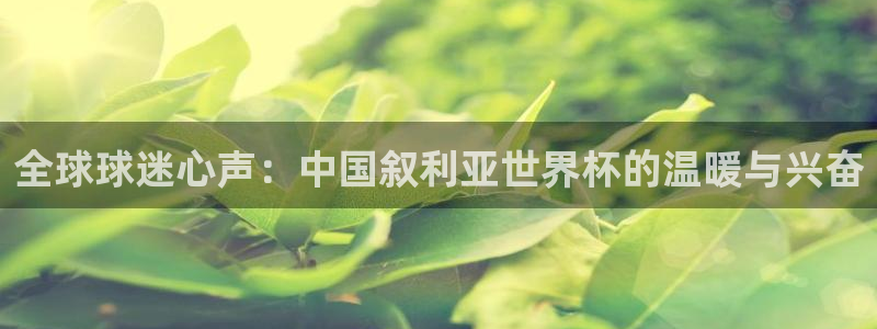 世预赛欧洲赛程表：全球球迷心声：中国叙利亚世界杯的温暖与兴奋