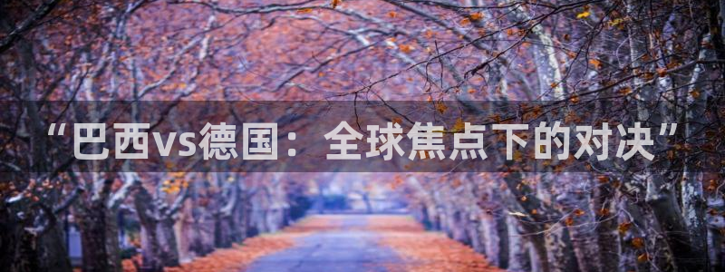 世界杯欧洲区预选赛：“巴西vs德国：全球焦点下的对决”