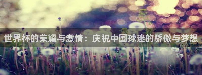 足球世界杯预选赛：世界杯的荣耀与激情：庆祝中国球迷的骄傲与梦想