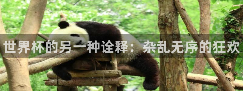 世界杯预选赛规则：世界杯的另一种诠释：杂乱无序的狂欢