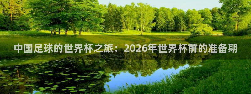 世界杯决赛直播：中国足球的世界杯之旅：2026年世界杯前的准备期