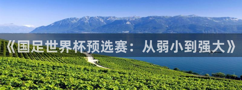 法国杯2026赛程表：《国足世界杯预选赛：从弱小到强大》