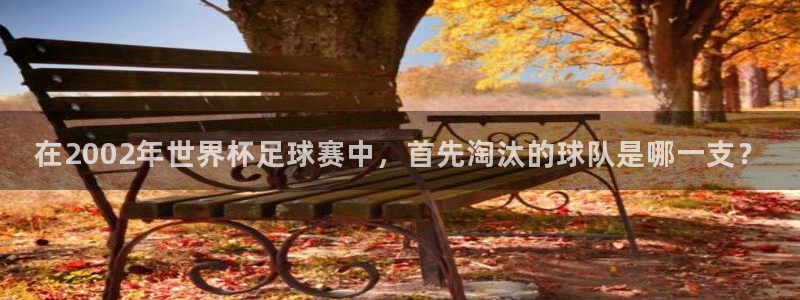 葡萄牙世界杯赛程：在2002年世界杯足球赛中，首先淘汰的球队是哪一支？