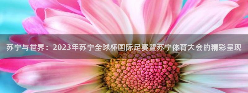 世界杯比赛直播：苏宁与世界：2023年苏宁全球杯国际足赛暨苏宁体育大会的精彩呈现