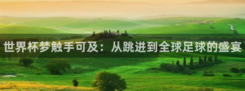 世界杯欧洲区预选赛赛程：世界杯梦触手可及：从跳进到全球足球的盛宴