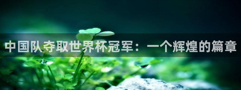 世界杯欧洲区预选赛赛程：中国队夺取世界杯冠军：一个辉煌的篇章