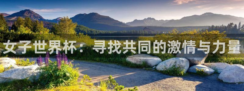 世预赛免费直播入口：女子世界杯：寻找共同的激情与力量