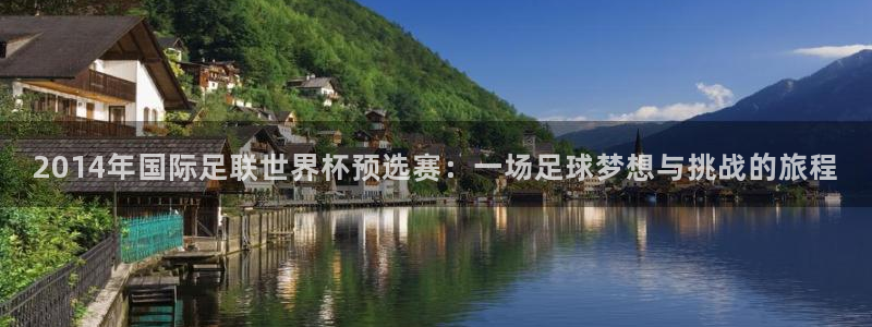 世界杯对阵图2026：2014年国际足联世界杯预选赛：一场足球梦想与挑战的旅程