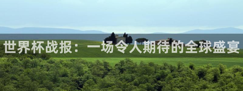 法国杯2026赛程表：世界杯战报：一场令人期待的全球盛宴