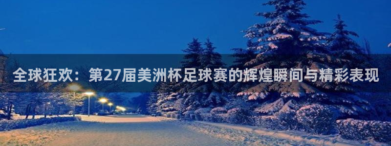 世界杯视频：全球狂欢：第27届美洲杯足球赛的辉煌瞬间与精彩表现