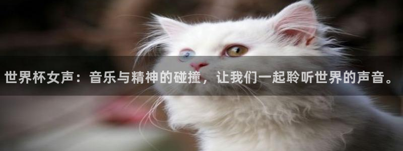 2026世界杯欧洲预选赛赛程表：世界杯女声：音乐与精神的碰撞，让我们一起聆听世界的声音。