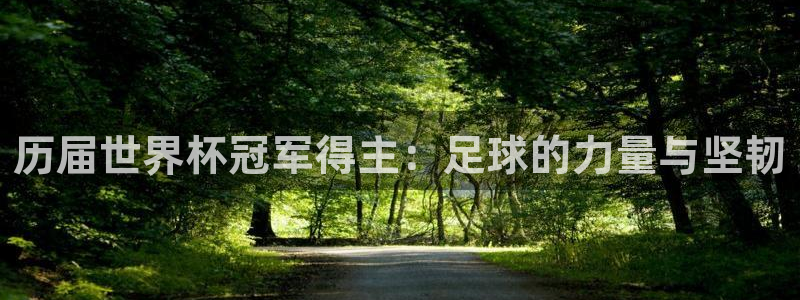 2026世界杯倒计时：历届世界杯冠军得主：足球的力量与坚韧