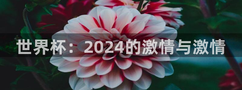 2026世界杯32强对阵图表：世界杯：2024的激情与激情