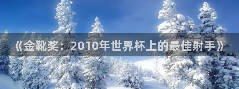 世界杯女足直播：《金靴奖：2010年世界杯上的最佳射手》