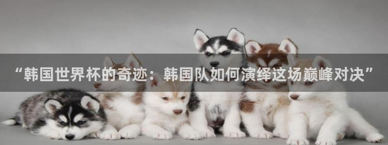 世界杯足球直播：“韩国世界杯的奇迹：韩国队如何演绎这场巅峰对决”