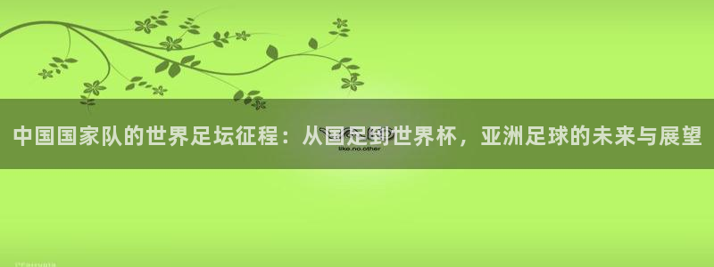 葡萄牙世界杯赛程：中国国家队的世界足坛征程：从国足到世界杯，亚洲足球的未来与展望