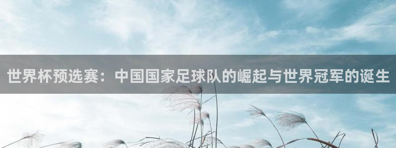 足球世界杯：世界杯预选赛：中国国家足球队的崛起与世界冠军的诞生