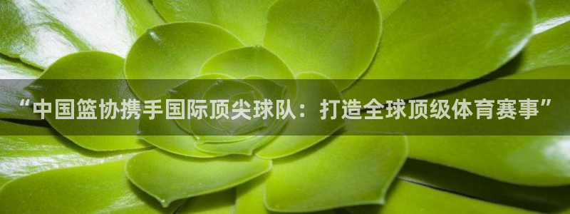 世界杯比赛赛程：“中国篮协携手国际顶尖球队：打造全球顶级体育赛事”